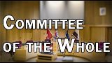 Committee of the Whole Thumbnail